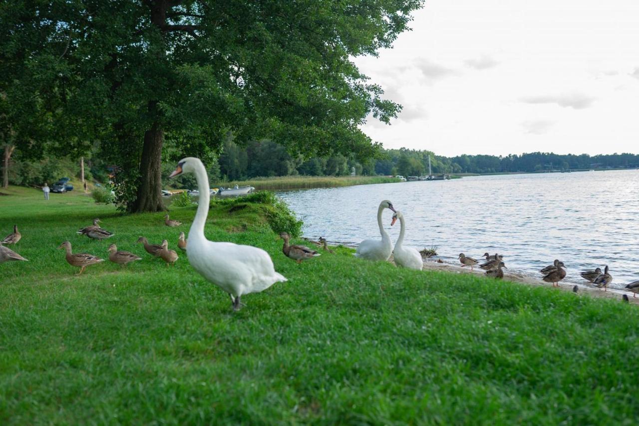 Apartament Augustow Swan Экстерьер фото